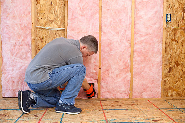 Best Basement Insulation  in Oak Grove, MN