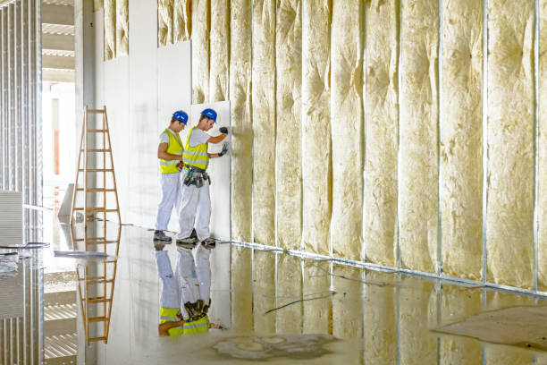 Best Reflective Insulation  in Oak Grove, MN